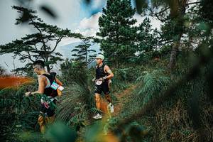 BIB: 
                            <button type="button" onclick="openModal(25258317)" class="btn btn-primary btn-sm float-right btn-popup" data-toggle="modal" data-target=".modal-high-quality">
                        <i class="fas fa-shopping-cart"></i> Add to Cart
                    </button>
                                            <button type="button" onclick="isThisMe(25258317, true)" class="btn btn-success btn-sm float-right btn-popup btn-isme hidden" data-toggle="tooltip" data-placement="bottom" title="นี่คือรูปของคุณใช่ไหม คลิกที่นี่เพื่อเอาเข้าอัลบั้ม">
                        <i class="fas fa-plus"></i> Add to album
                    </button>
                    <button type="button" onclick="isThisMe(25258317, false)" class="btn btn-warning btn-sm float-right btn-popup btn-isnotme hidden">
                        <i class="fas fa-ban"></i> Remove from album
                    </button>